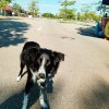 k-drive4animals-2024-uwe-teil1 9